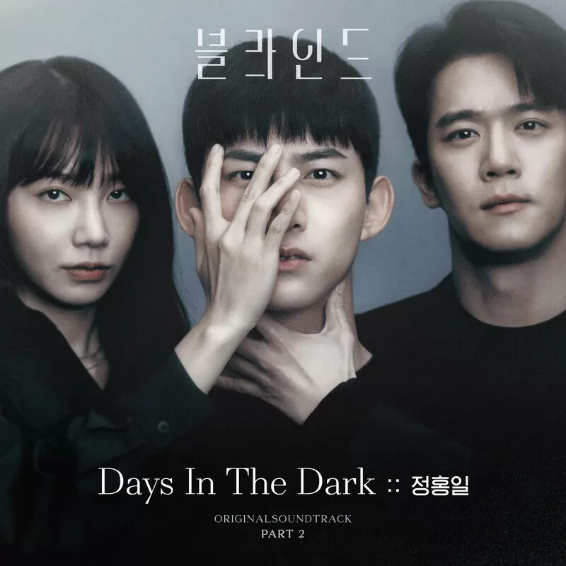 دانلود آهنگ Days In The Dark (Blind OST Part.2) Jeong Hongil